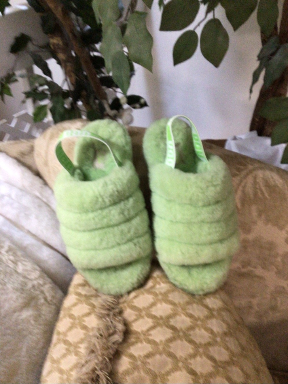 UGG - Picture 9 of 10